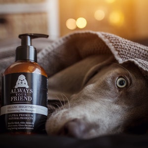 Organic Brightness Dog Shampoo - with Protective Microfilm - Natural Shampoo with Organic Ingredients - 250ml / 8.45oz by Always Your Friend