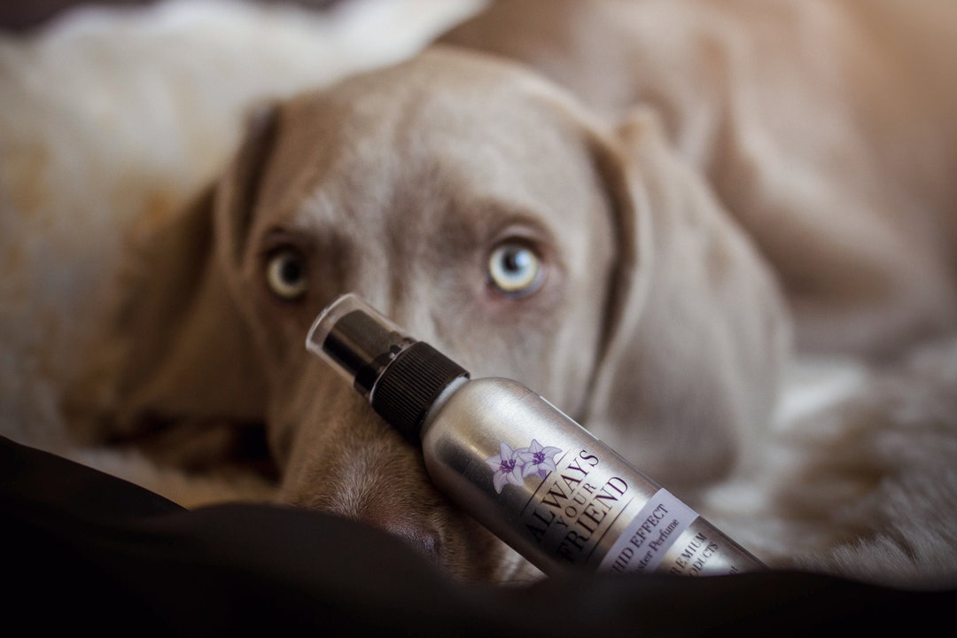 Orchid Dog Fragrance - Hydrating Mild Dog Fragrance