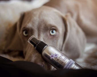 Effet Orchidée, Parfum de chien