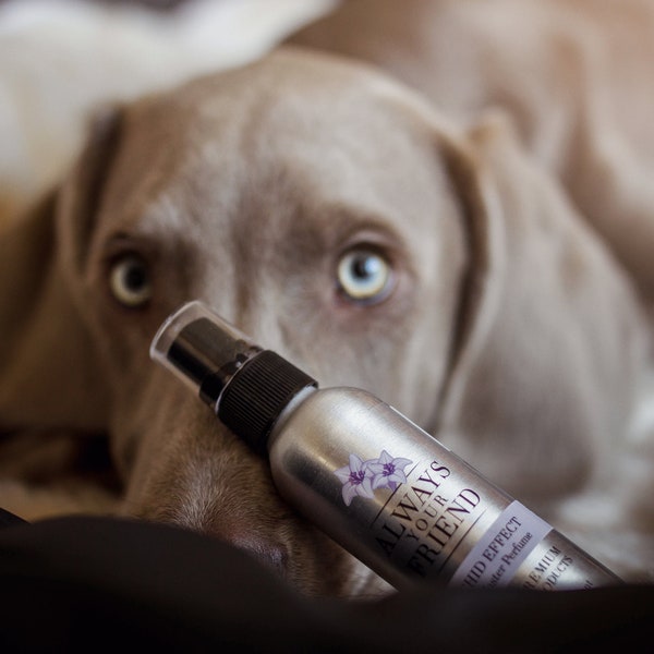 Orchid Effect, Dog Perfume