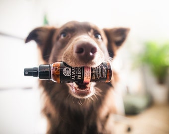 Advanced Dog Ear Cleanser