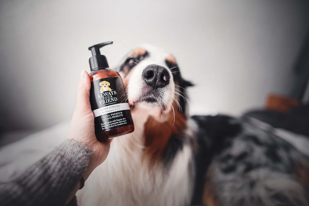 Puppy Powder Dog Shampoo in Hypoallergenic A Natural Shampoo With  Organic Ingredients 250ml Fl Oz by Always Your Friend - Main Image