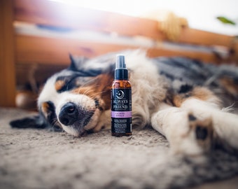 Calming Effect Lotion