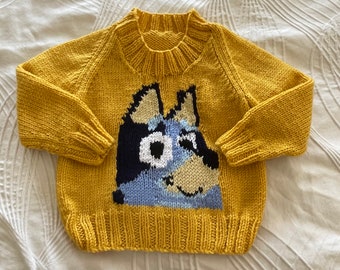 Unisex kid's Bluey jumper / sweater with round neck.  Various colours available.
