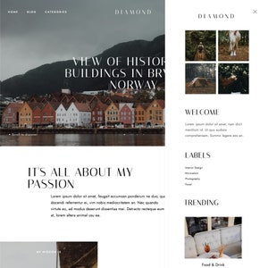 Op de afbeelding: Een website-homepage met de titel "Diamond" en een foto van kleurrijke gebouwen in een haven. De tekst "View of Historic Buildings in Bryggen, Norway" wordt boven de foto weergegeven. De website heeft ook een sectie met de titel "It's All About My Passion" met een beschrijving van het doel van de website. De website heeft ook een sectie met de titel "Welcome" met een beschrijving van het doel van de website. De website heeft ook een sectie met de titel "Labels" met een lijst met categorie&euml;n. De website heeft ook een sectie met de titel "Trending" met een foto van een tafeldekking.