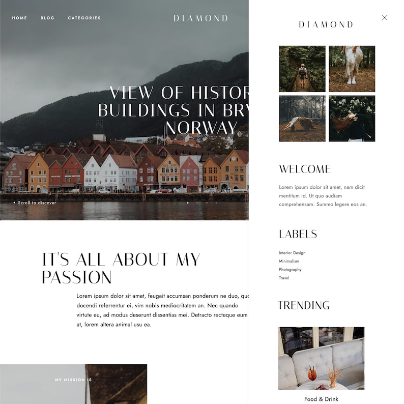 Op de afbeelding: Een website-homepage met de titel "Diamond" en een foto van kleurrijke gebouwen in een haven. De tekst "View of Historic Buildings in Bryggen, Norway" wordt boven de foto weergegeven. De website heeft ook een sectie met de titel "It's All About My Passion" met een beschrijving van het doel van de website. De website heeft ook een sectie met de titel "Welcome" met een beschrijving van het doel van de website. De website heeft ook een sectie met de titel "Labels" met een lijst met categorie&euml;n. De website heeft ook een sectie met de titel "Trending" met een foto van een tafeldekking.