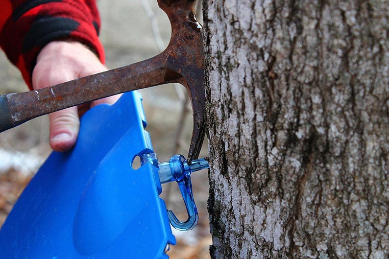 Maple Syrup Tapping Kit 2 Tapping Buckets Lids Maple Sap Etsy