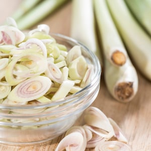 Deux 2 grandes plantes de citronnelle vivantes SANS OGM chacune de 10 à 20 cm de haut dans des pots de 10 cm (4 po.) Entreprise familiale depuis 1957 image 10