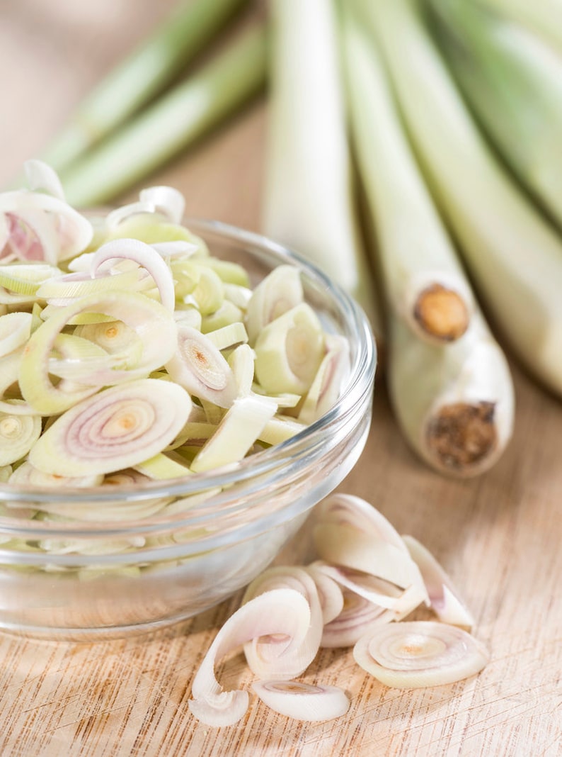 Deux 2 grandes plantes de citronnelle vivantes SANS OGM chacune de 10 à 20 cm de haut dans des pots de 10 cm (4 po.) Entreprise familiale depuis 1957 image 10