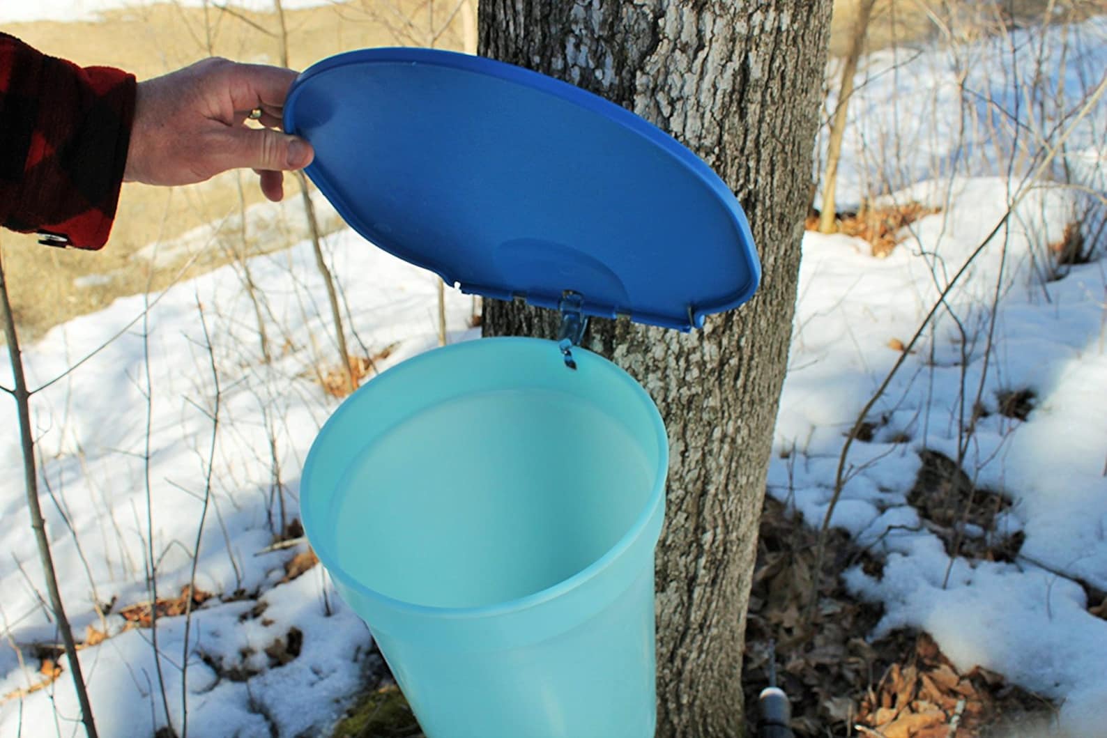 Deluxe Maple Tree Tapping Kit 3 3 Gal. Sap Buckets Lids | Etsy