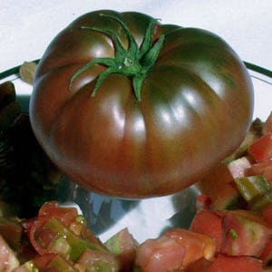 Two Live Plants Black Prince Tomato Plant NON-GMO 4 Inch to 7 Inch Tall In 3.5 Inch Pots Family Run Business Since 1957