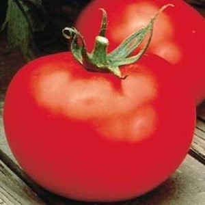 May include: Two large, ripe red tomatoes. One tomato has a green stem and leaves attached.