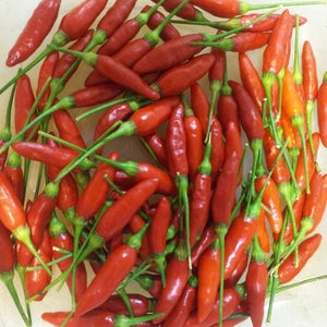 Puede incluir: Un bol lleno de chiles rojos brillantes con tallos verdes.