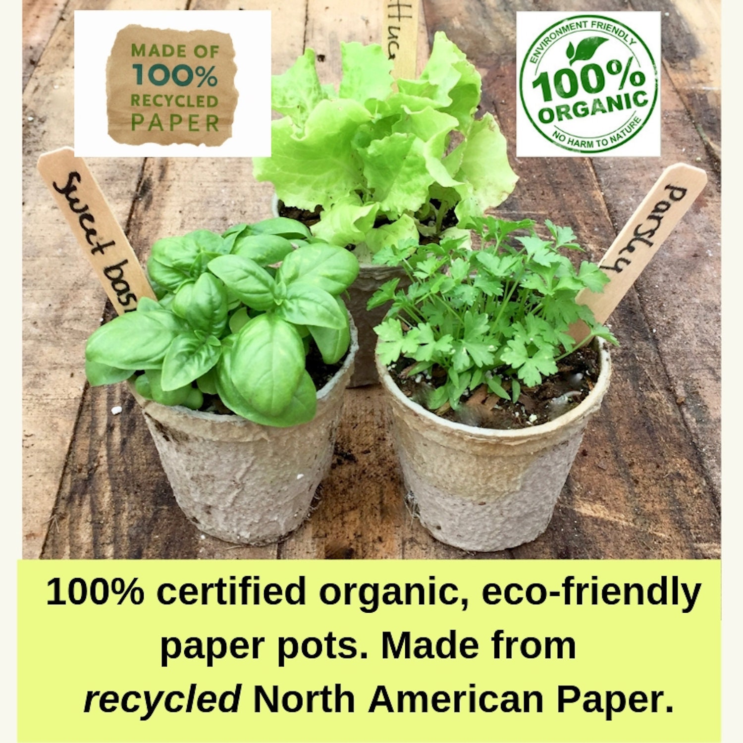Biodegradable Seed Starting Pots | 100% Organic Recycled Paper | 60 3.5”  Pots, 24 Wooden Tags