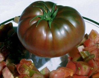 Planta de tomate Black Krim, dos plantas vivas de 4 a 7 pulgadas de alto en maceta de 3,5 pulgadas. Empresa familiar desde 1957.