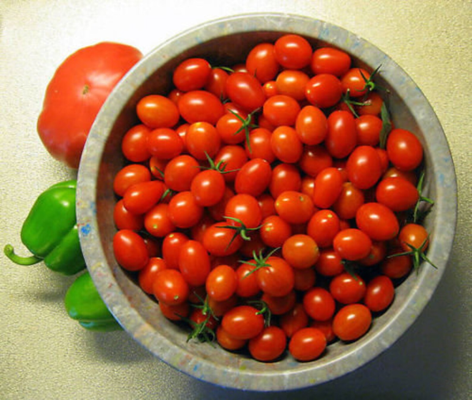 Two Live Plants Grape Tomato Plant 4 Inches to 7 Inches Tall Etsy UK