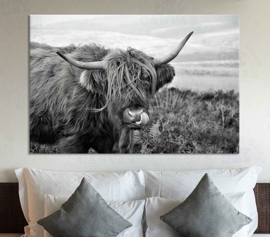 Black and White Highland Cow Canvas Print Scottish Highland Cattle Wall