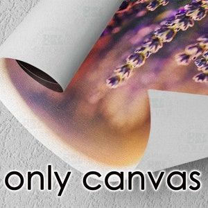 May include: A close-up of a canvas print featuring a field of lavender flowers. The flowers are a vibrant purple and are in focus, while the background is blurred and out of focus. The canvas is rolled up and the edge of the canvas is visible.