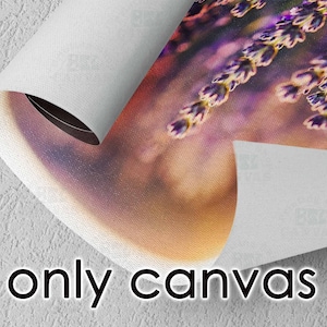 May include: A close-up of a canvas print featuring a field of lavender flowers. The flowers are a vibrant purple and are in focus, while the background is blurred and out of focus. The canvas is rolled up and the edge of the canvas is visible.
