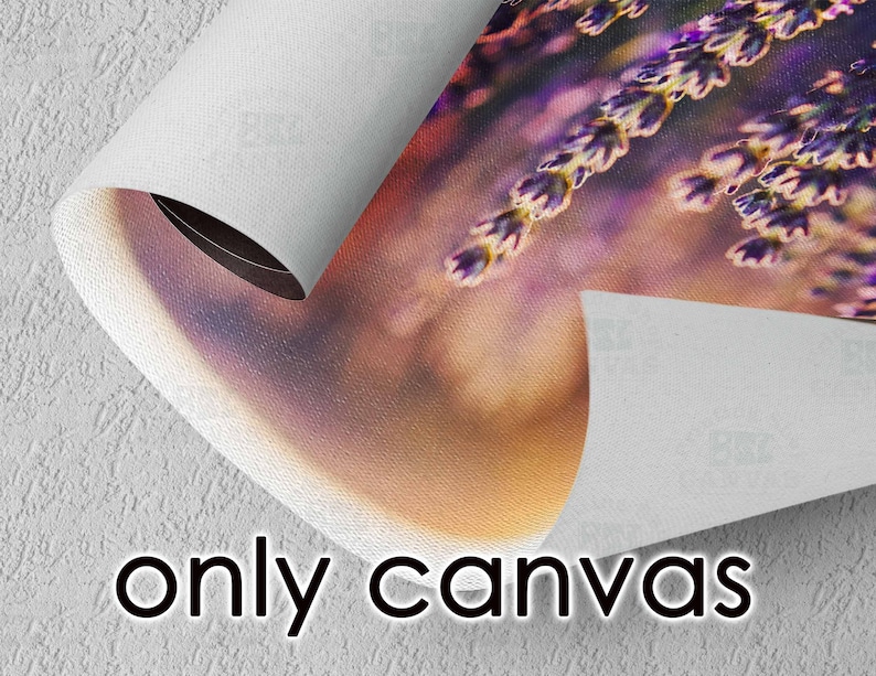 May include: A close-up of a canvas print featuring a field of lavender flowers. The flowers are a vibrant purple and are in focus, while the background is blurred and out of focus. The canvas is rolled up and the edge of the canvas is visible.