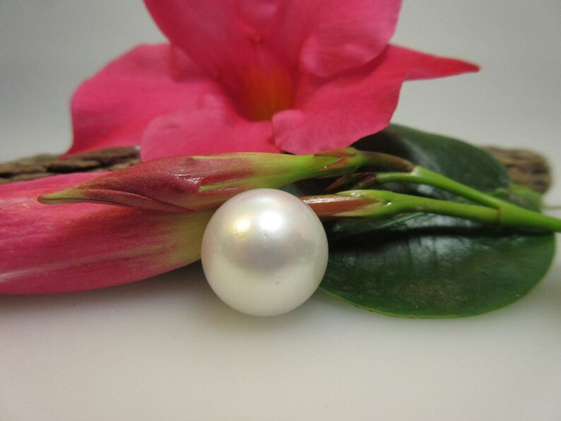 Large South Sea pearl 15.0 mm diameter undrilled Mod.65
