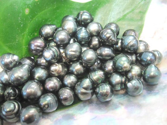 Perle noire de Tahiti