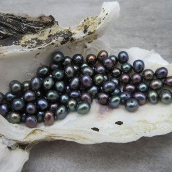 Perles de culture d'eau douce noires percées 5 pièces