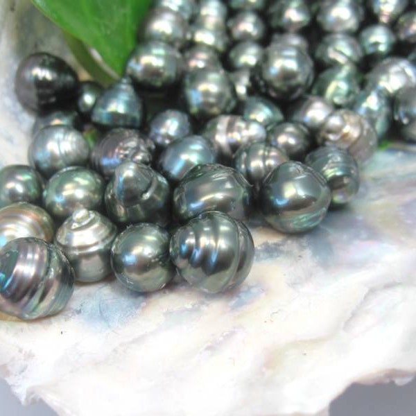 Magnifique perle noire de Tahiti / foré seulement 12,90 euros