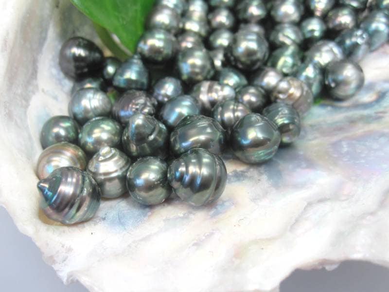 Ohrboutons 925er Silber aus Muschelkernperle 10mm in Tahiti-Peacock TOP Geschenk 