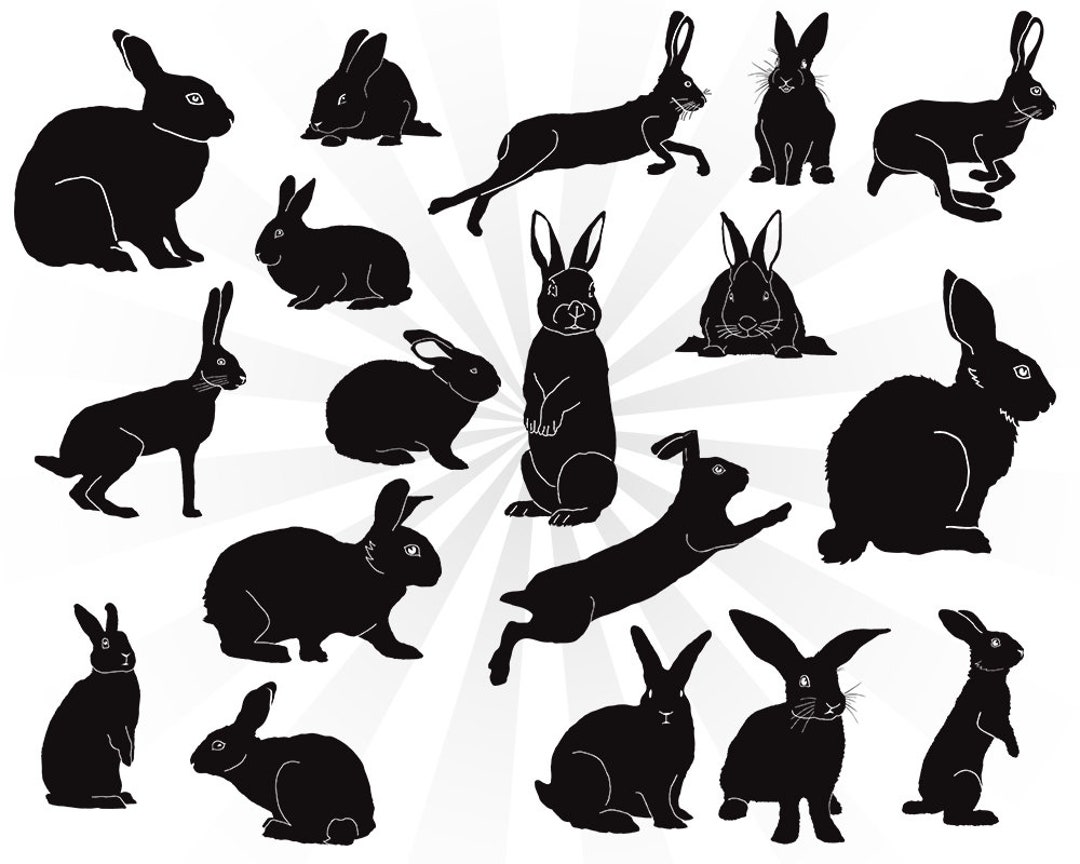 18 Rabbit silhouette svg bundle, bunny svg, bunny rabbit svg, svg files ...
