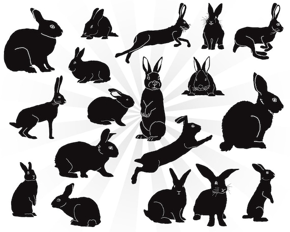 Download Rabbit silhouette svg bundle bunny svg bunny rabbit svg svg | Etsy