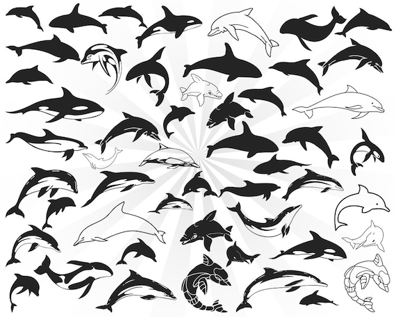 Dolphins Tribal Tattoo Silhouette Stock Vector | Adobe Stock