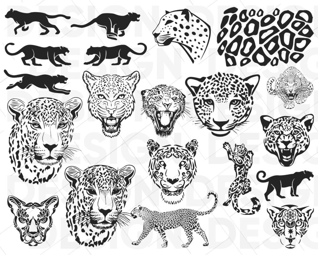 20 Leopard Svg Bundle, Leopard Head Svg, Cricut Cameo Silhouette