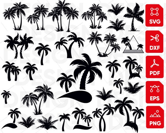 Download Palm Tree Svg Summer Svg Palm Cricut Palm Vector Palm Etsy