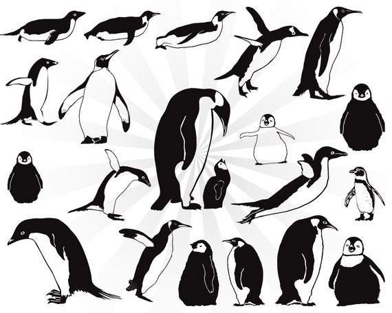 Penguin Svg Bundle Animals Svg Penguin Clipart Penguin Dxf Etsy