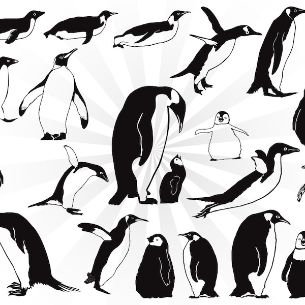 20 Penguin svg bundle, animals svg, penguin clipart, penguin dxf,  cut file, baby penguin, svg emblem, monogram, penguins silhouette svg,png