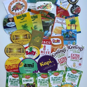 Set van 30 fruitlabels voor scrapbooking, junk journaling, verzamelbare ananas-hanglabels, collage- en papierknutselbenodigdheden.