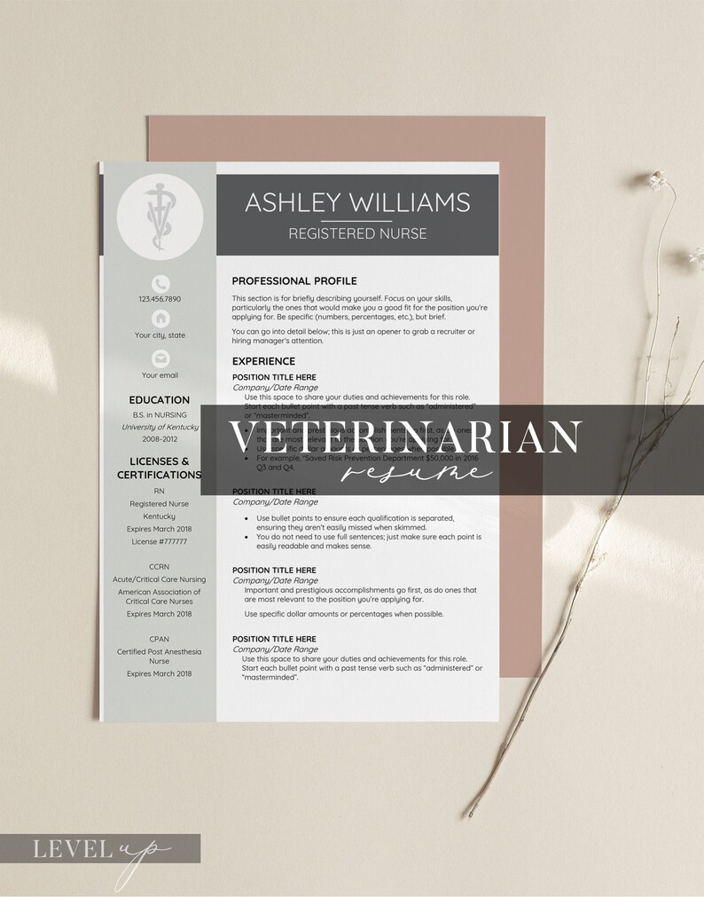 Tierarzt Lebenslauf Vet tech resume Vet resume Veterinary cv | Etsy