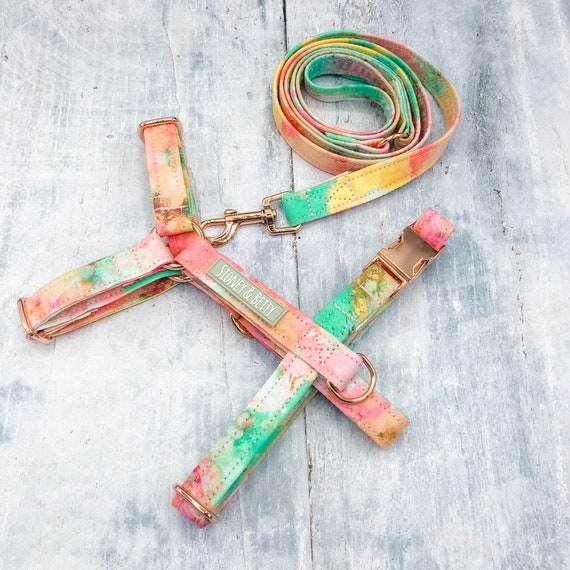 Rainbow Sherbet Dog Strap Harness Handmade Dog Harnesses Etsy