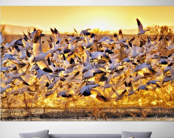 Flying Geese Photo Print Original Birds Wall Art Wildlife Nature Poster Gooses Photo Print for Living Room Decor