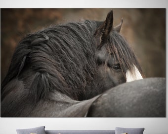 Black Horse Print On Canvas Wild Animal Multi Panel Photo Print Farmhouse Wall Hanging Decor for Indie Room Decor