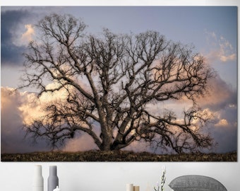 Big Old Tree Canvas Wall Art Nature Landscape Art Forest Trees Multi Panel Photo Pirnt Nature Wall Hanging Decor for Indie Room Decor