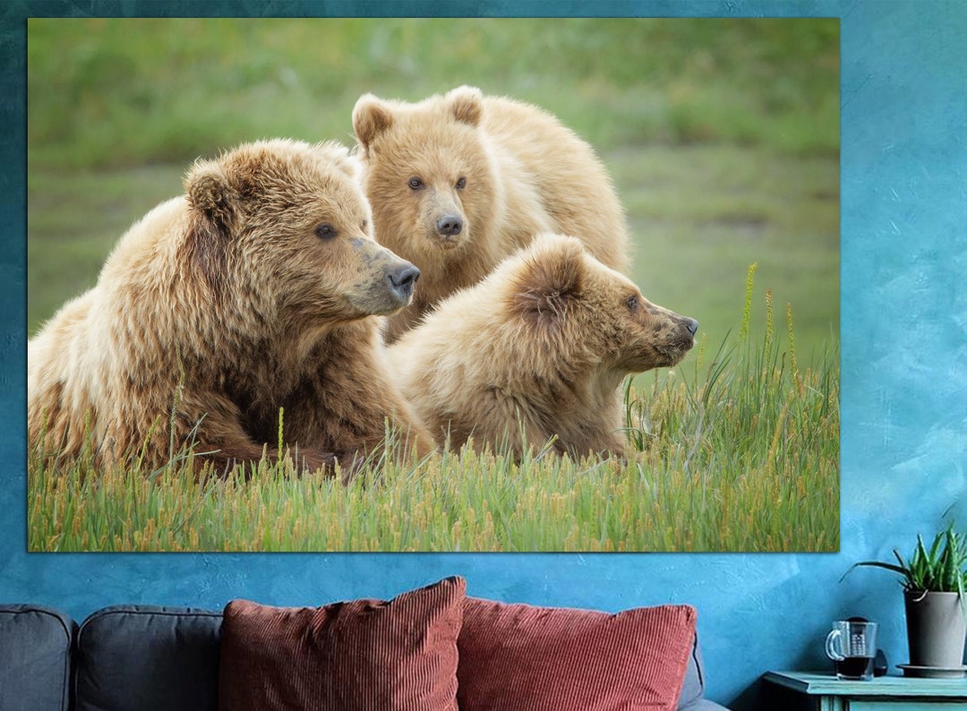 Bear Wall Art Brown Bear Canvas Art Bear Painting Wild Animal Canvas