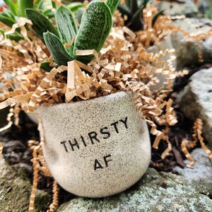 May include: A small, speckled ceramic pot with the text "THIRSTY AF" contains several succulents. The plants have green and white striped leaves and are surrounded by brown paper filler. The pot sits on a mossy rock.