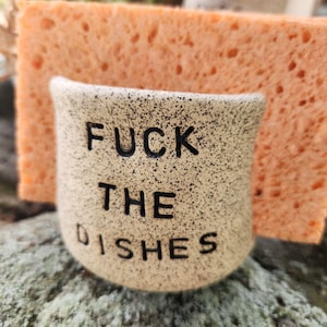 May include: A beige ceramic sponge holder with black speckles and the words "FUCK THE DISHES" in black lettering. An orange sponge is placed behind the holder. The holder is sitting on a textured surface.