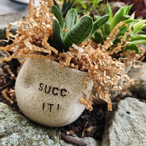 Succulent pot, planter, handmade, funny, adult, succ it