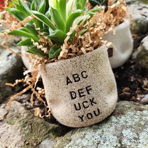 Può includere: Due piccoli vasi di piante grasse con foglie verdi e bianche, in carta decorativa. Il vaso anteriore è beige con il testo "ABC DEF UCK YOU" in nero. I vasi sono su una superficie di pietra muschiosa.