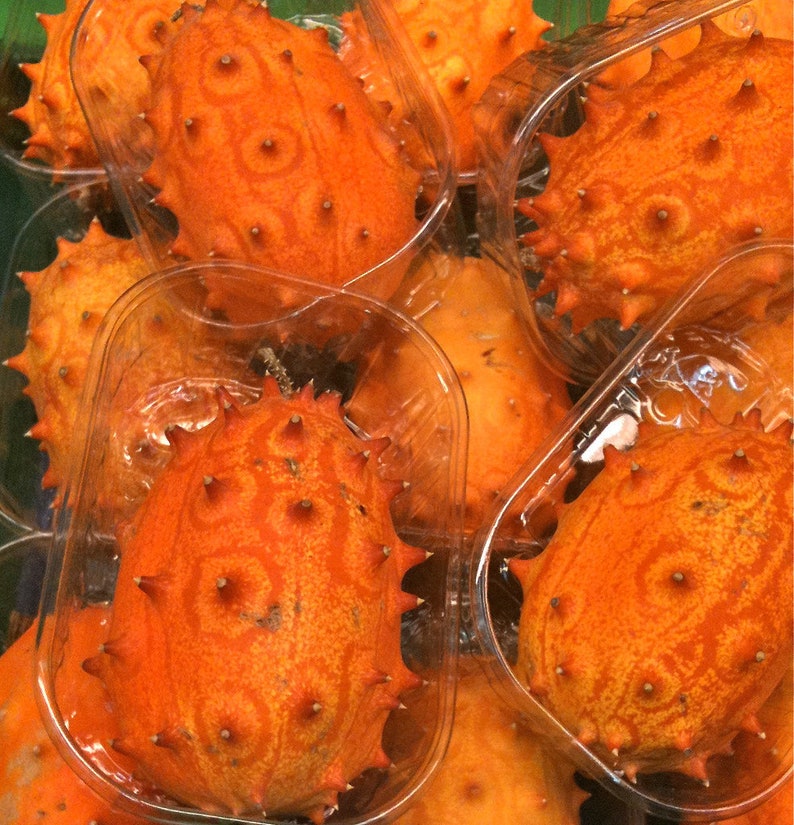 Horned Melon Kiwano Cucumis metuliferus 20 Seeds USA Company image 3