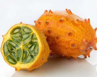 Horned Melon   Kiwano   Cucumis metuliferus   20 Seeds  USA Company