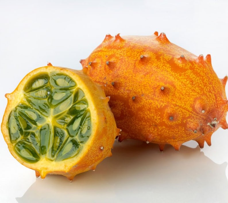 Horned Melon Kiwano Cucumis metuliferus 20 Seeds USA Company image 1